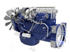 Weichai Original Diesel Motor(WP10.290E3) 