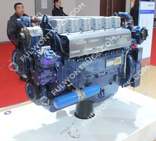 Weichai Original Diesel Motor(WP10.300NE31)