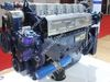 Weichai Original Diesel Motor(WP10.290E41)