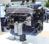 Weichai Original Diesel Motor(WP10.290E32)
